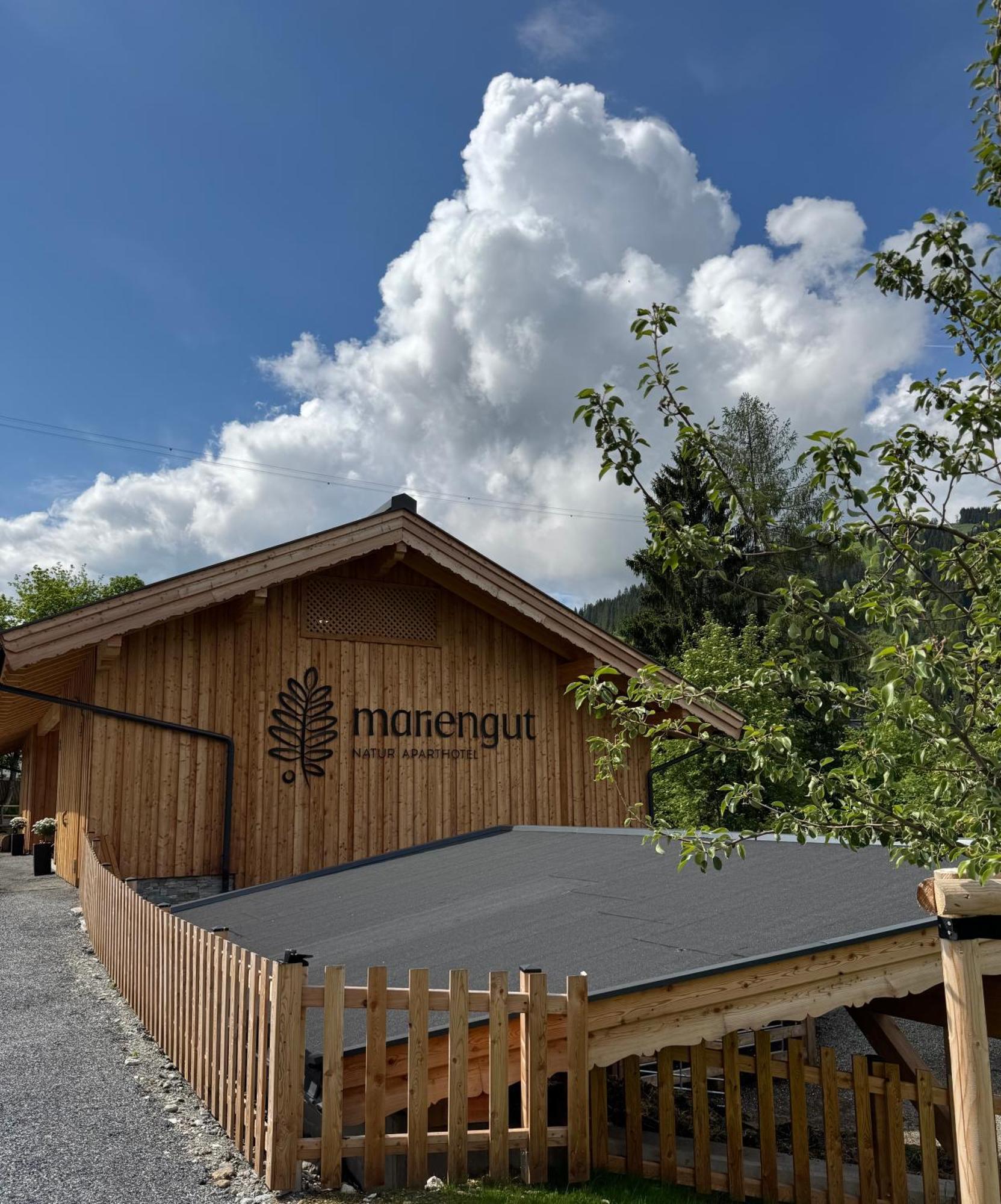 Mariengut - Natur Aparthotel Kramer Wagrain Extérieur photo